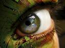 I'm a simple kind of guy who likes all things technology. I tweet about things that interest me... follow for a while
