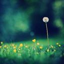 Aron - @AronMcAdam - Twitter