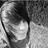 NaninosOficial's profile image