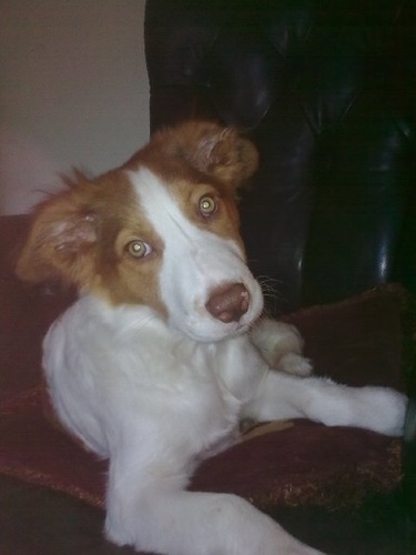 Romanypaydee's profile picture. 