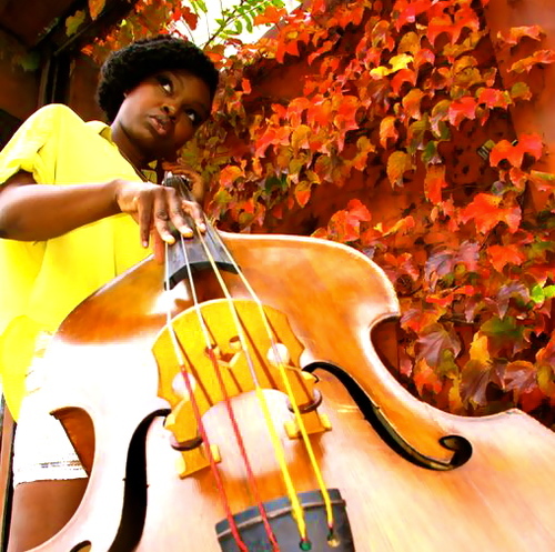 bassist | vocalist | composer | #socialentrepreneur | igroove - idance - iplay