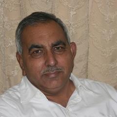 allahrang's profile picture. Producing and exporting flower seeds since 1993.