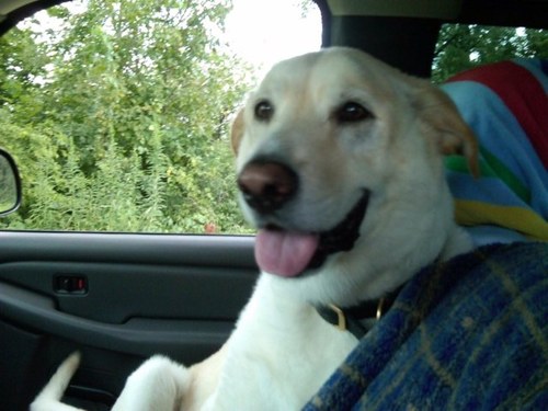 lesterdeck's profile picture. 