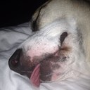 Patrick - @patrick_hinkle - Twitter