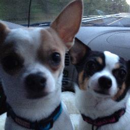 Hi my name is Renee, and I am a wife, mom to dogs, nanny/childcare provider, & blogger. Find me also at http://t.co/12k0Bv7Dkv