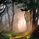 Víctor Cobos - @asesoriacobos - Twitter