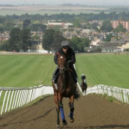 A premium tipping service, providing hot horses for our clientele

HUGE GAMBLE GOING DOWN NEXT WEEK, go to website for more info & get involved for FREE