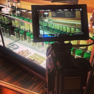 MedCabShow's profile picture. 