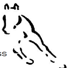 mm_harmon's profile picture. 