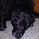 Tommy Stephenson - @tommycanam - Twitter