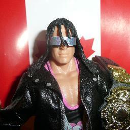 Pro Wrestling fan.   Action figure Collector