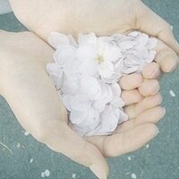 It's Life Quotes (@itslifequote) 's Twitter Profile Photo It's Life Quotes (@itslifequote) 's Twitter Profile Photo