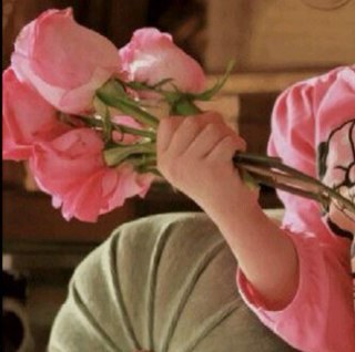 shoog20020's profile picture. 