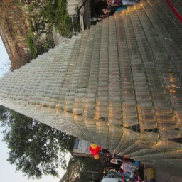 PiyaliSR's profile picture. Indian