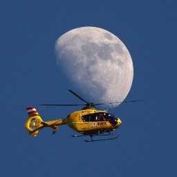 c16_oberwart's profile picture. 