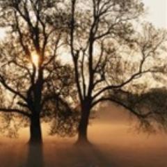 KristiBennitt's profile picture. A Virtual Assistant, Bookkeeper, Coffee Addict & Avid Reader. What can I say, I love numbers.