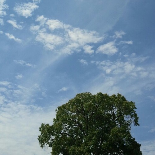 gprksh's profile picture. 