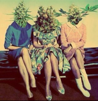 Fatal_Lung's profile picture. 