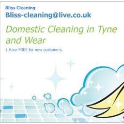 Offering Domestic Cleaning Services In Newcastle & Gateshead! Email us for more information Blisscleaningco@live.co.uk