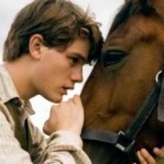 {There was no greater companion, then the horse of war. Through the many plains and fields of battle did he soar.}  [War Horse RP, +16 Serious Situations]