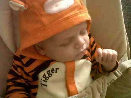 MumsUnited2013's profile picture. everything about being a mum and more