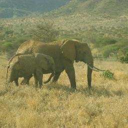 jiranicredit's profile picture. Jirani Credit Limited is a micro-credit institution with a vision to overcome poverty through provision of innovative credit services.