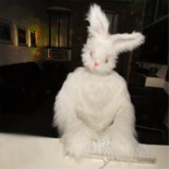 I've been a bad, bad bunny.