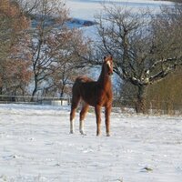 Frédéric Prost (@prost_frederic) 's Twitter Profile