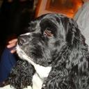 Shirley Schaffer - @ShirleyKley - Twitter