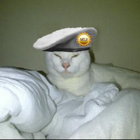 Chloe (@heronwaycat) 's Twitter Profile Photo Chloe (@heronwaycat) 's Twitter Profile Photo