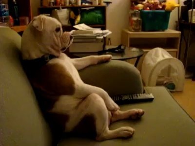 Chair upholstery enthusiast.  President of the Jar Jar Binks fan club.