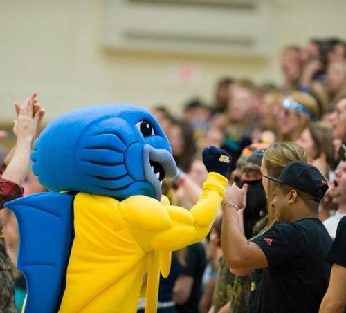 StrongDontay's profile picture. LONG LIVE DrewDaGod 🖤🕊  FLY HIGH Jody Breeze 🇺🇸🖤