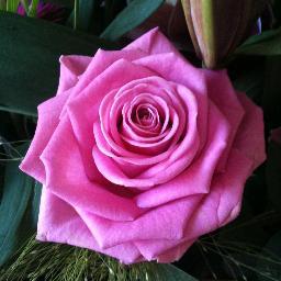 Aprilg1979's profile picture. 