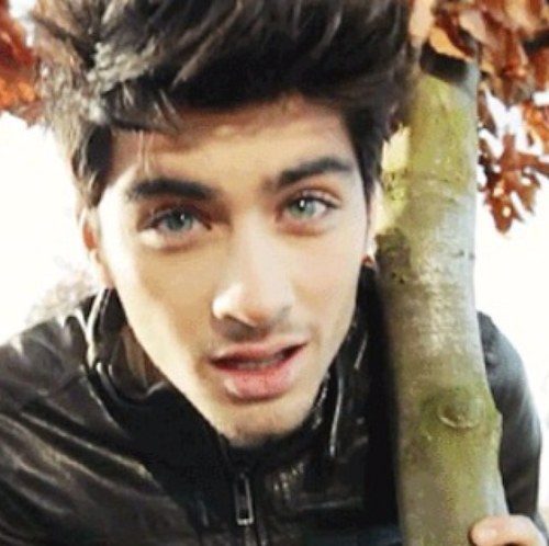 spam account for @lalalalaitsmoni :)