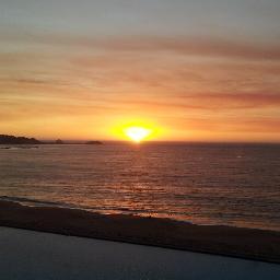 ludhiarich's profile picture. 