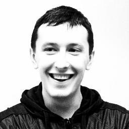 software developer / architect