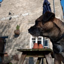 A champion pub in the heart of the Cotswolds. 4 in a bed winner 2015. Camra Good Beer guide. BBC3 This Country Extra, “Crinkly Bottoms” pub.