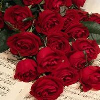 همس المشاعر (@eshq511) Twitter profile photo