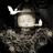DHoffman4Art's profile image