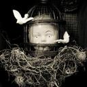 Dianne Hoffman - @DHoffman4Art - Twitter