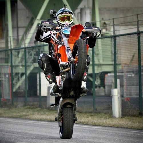 RobbieInfo's profile picture. 