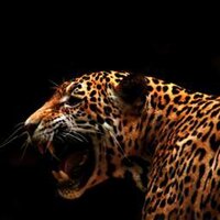 UWS Zoology Society (@uwszoology) 's Twitter Profile