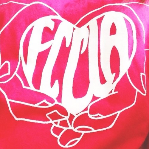 FCCLA is a leadership service club at CHS. Our main event is Kids Against Hunger. If interested please contact Megan Hanselman, Caelah Clark or Morgan Dellowe