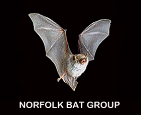 The first county bat group in the UK, formed in 1961 committed to the conservation of wild bats in our county.