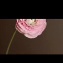 نبض (@0samah1) Twitter