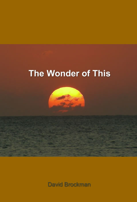 almost single advaita kala ebook
