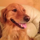 Claude Levesque - @ClaudeLevesque1 - Twitter