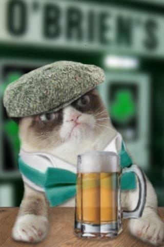 Tuna and Guinness please. Forget the tuna........

Cynical.Furry.Drunk.Irish.