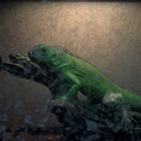 Bryan Cardwell - @MrAut0maticBang - Twitter