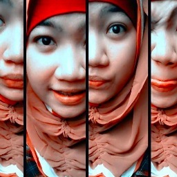 DAS ({})